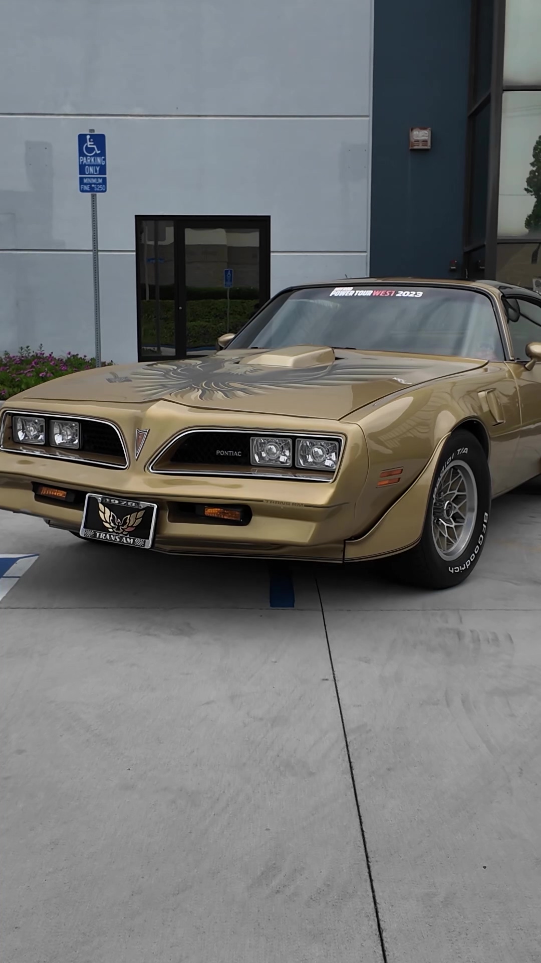Pontiac Firebird Gold Edition 1978 - 1/43ème en boite